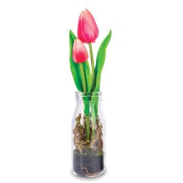 Pink Tulips in Glass