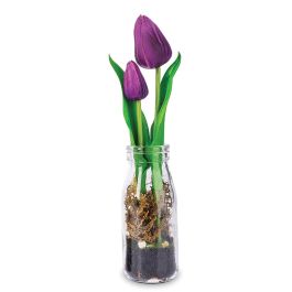 Purple Tulips in Glass