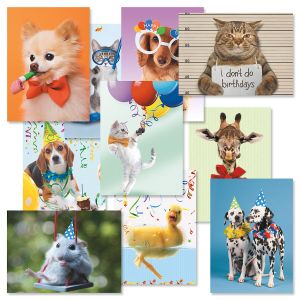 Picture This™ Birthday Cards Value Pack