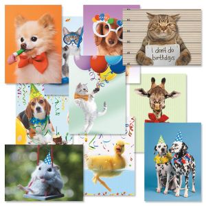 Picture This™ Birthday Cards Value Pack