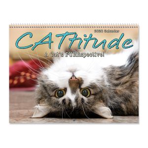 CATtitude Wall 2026 Calendar