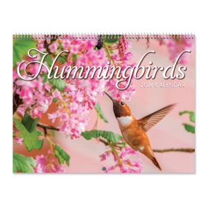 Hummingbirds Wall 2026 Calendar