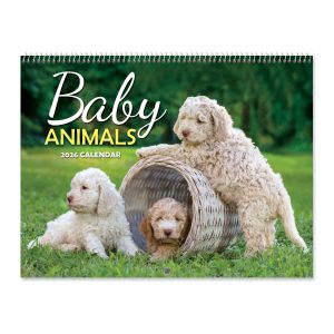 Baby Animals Wall 2026 Calendar