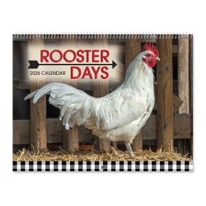 Rooster Days Wall 2026 Calendar