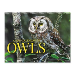 2027 Owls Wall Calendar