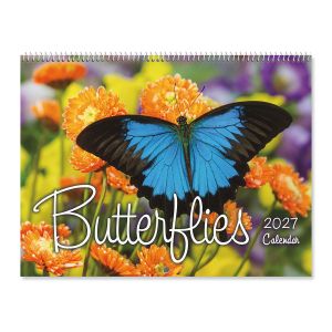2027 Butterflies Wall Calendar