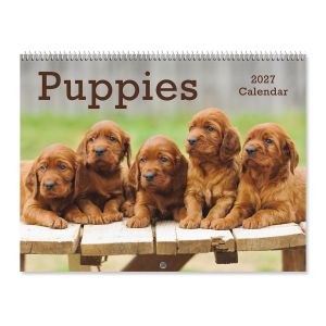 2027 Puppies Wall Calendar