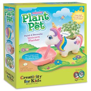 Unicorn Plant Pet