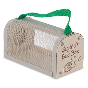 Wooden Insect Personalized Study Box