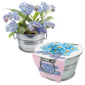 Grow Your Own Forget Me Nots