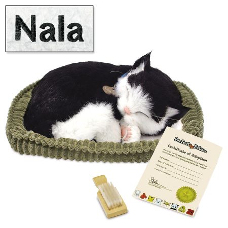 Black & White Personalized Perfect Petz Kitten | Lillian Vernon