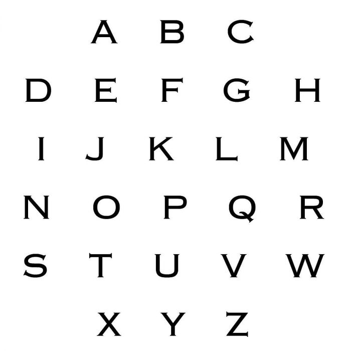 Bold Initial FoilStamped Disposable Hand Towels Lillian Vernon