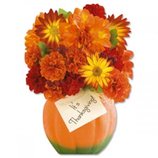 Greeting Cards & Stationery by Current Greeting Cards & Stationery by Current