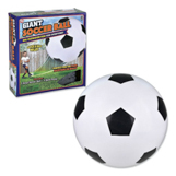 Beach & Backyard Toys